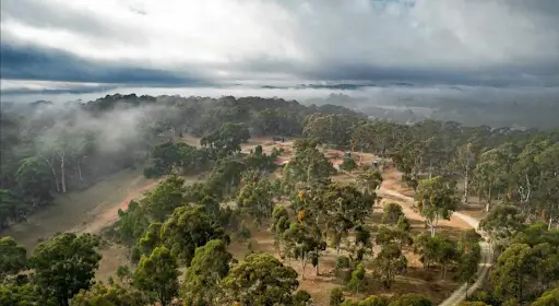 luxury cabn accommodations amid nature in adelaide hills