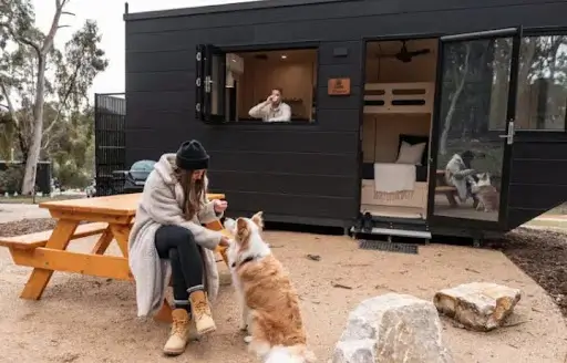 petting dog in luxury accommodation adelaide hills