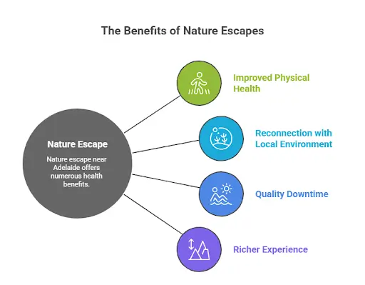 some top benefits of holiday accommodations around adelaide