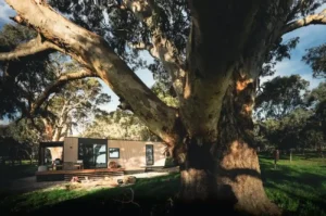 winery accommodation mclaren vale