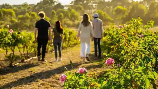 spring romantic getaway adelaide hills